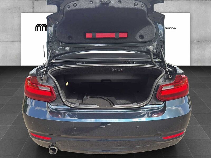 BMW 218 i CABRIO ADVANTAGE PDC TEMPOMAT SHZ RADIO PRO