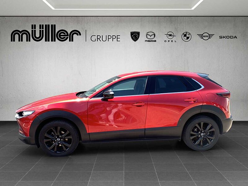 Mazda CX-30 G 122 PS 6GS HOMURA PRE-P