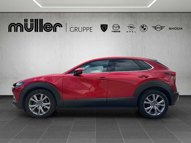 Mazda CX-30 G 150 PS 6GS SELECTION A18 DES-P PRE-P