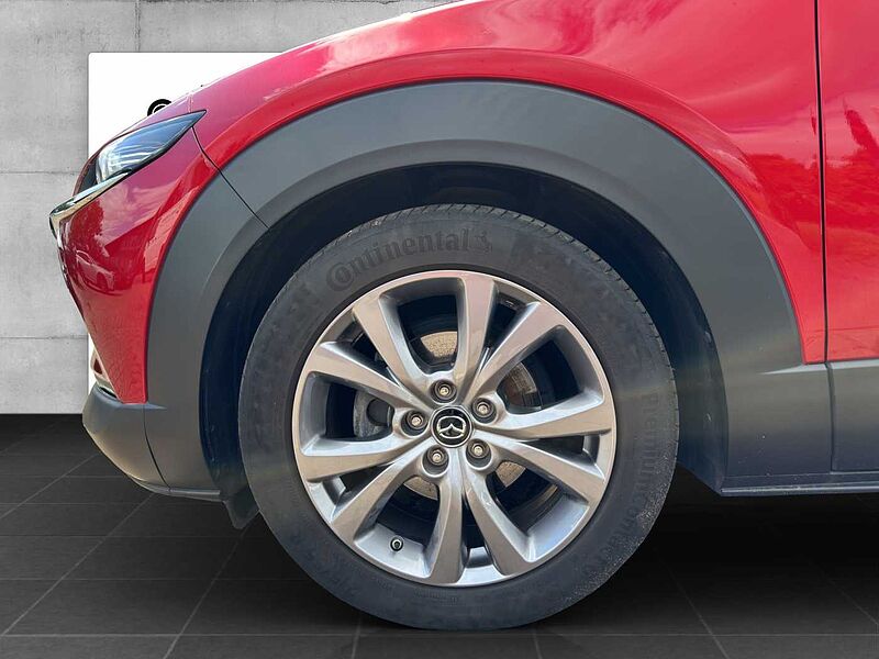 Mazda CX-30 G 150 PS 6GS SELECTION A18 DES-P PRE-P