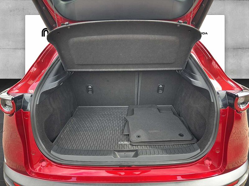 Mazda CX-30 G 150 PS 6GS SELECTION A18 DES-P PRE-P