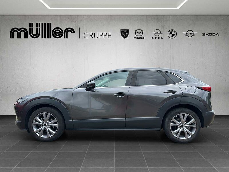 Mazda CX-30 G 150 PS 6AG SELECTION A18 DES-P PRE-P