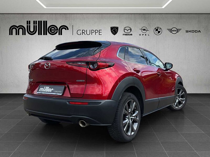 Mazda CX-30 X 186 PS 6GS SELECTION A18-B BOS DES-P ACT-P