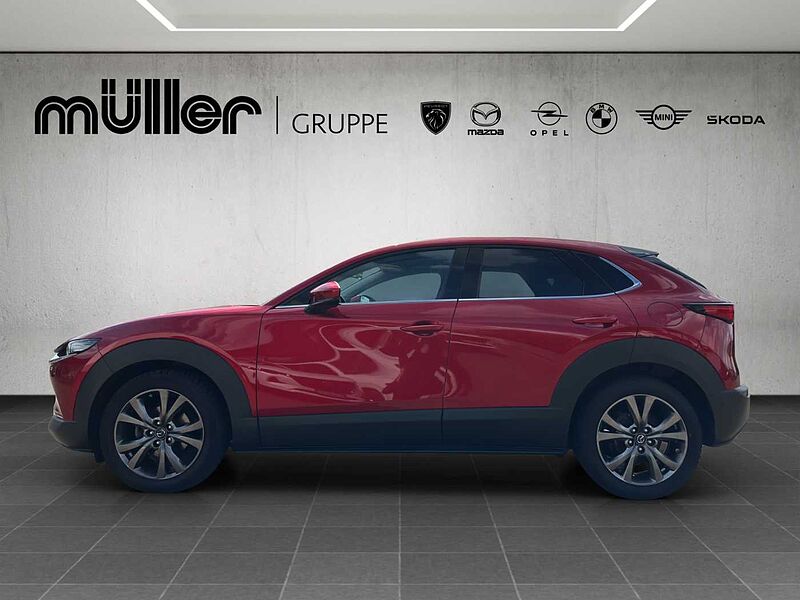 Mazda CX-30 X 186 PS 6GS SELECTION A18-B BOS DES-P ACT-P