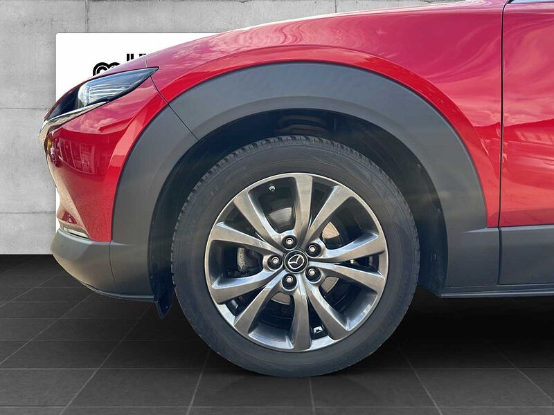 Mazda CX-30 X 186 PS 6GS SELECTION A18-B BOS DES-P ACT-P