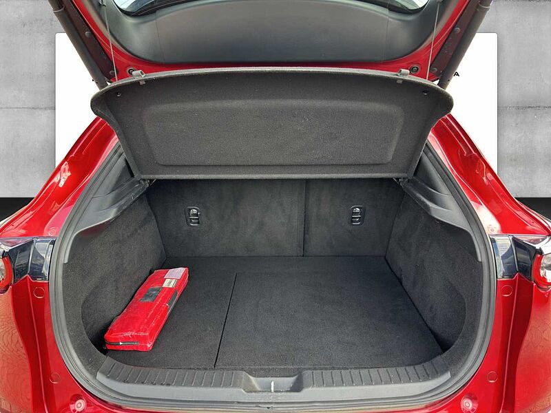 Mazda CX-30 X 186 PS 6GS SELECTION A18-B BOS DES-P ACT-P
