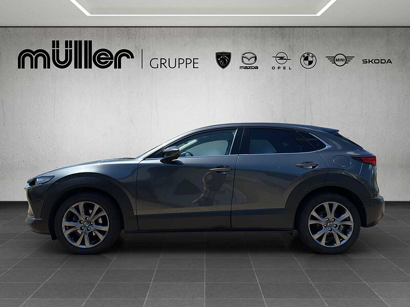 Mazda CX-30 X 186 PS 6AG SELECTION A18-B DES-P PRE-P LED-S