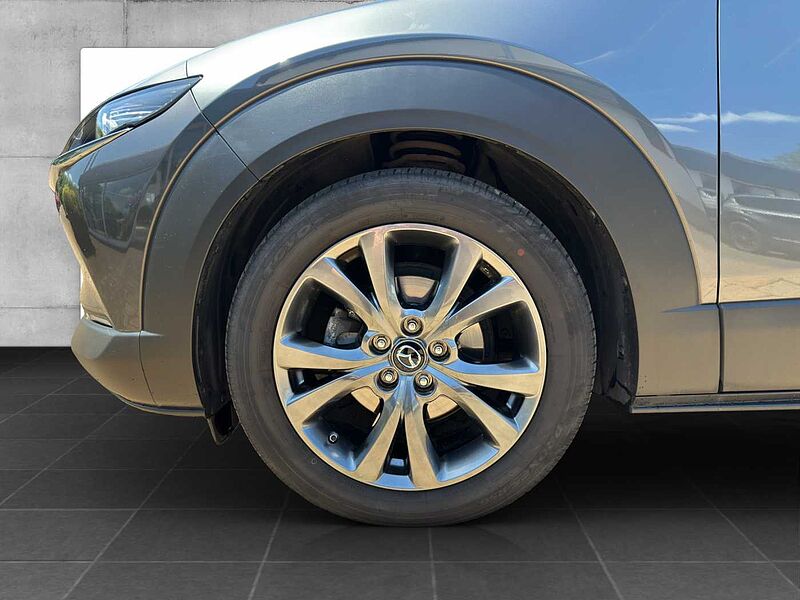 Mazda CX-30 X 186 PS 6AG SELECTION A18-B DES-P PRE-P LED-S