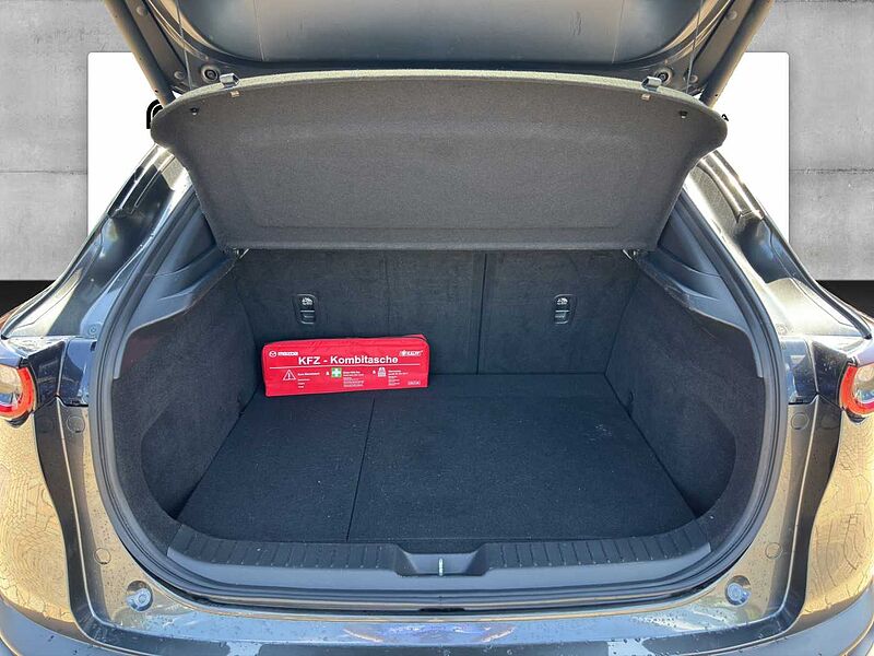 Mazda CX-30 X 186 PS 6AG SELECTION A18-B DES-P PRE-P LED-S