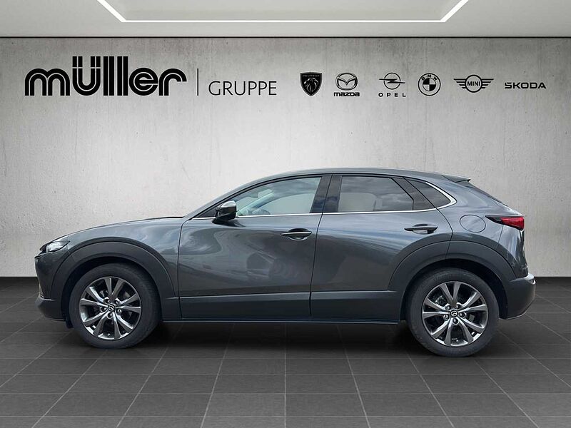 Mazda CX-30 X 186 PS 6AG SELECTION A18-B DES-P PRE-P
