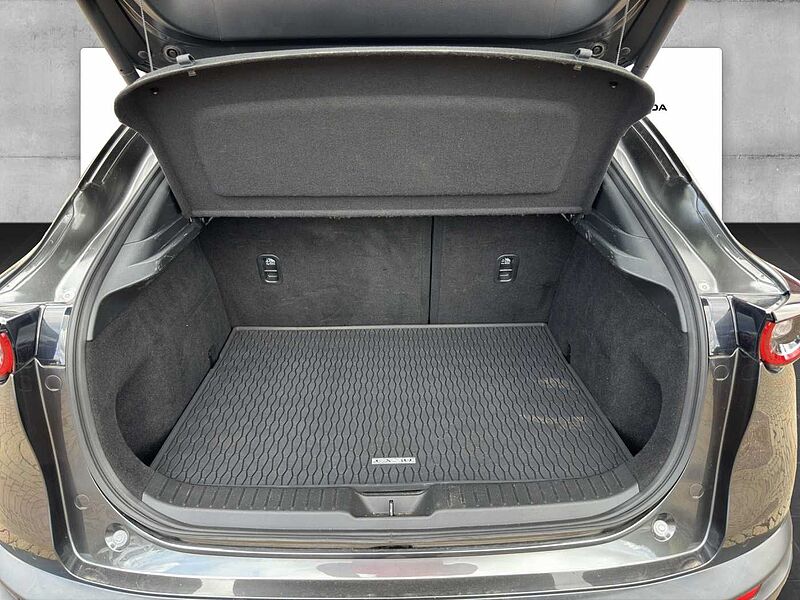 Mazda CX-30 X 186 PS 6AG SELECTION A18-B DES-P PRE-P