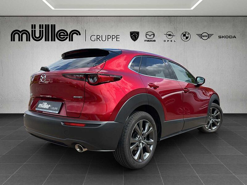 Mazda CX-30 X 186 PS 6AG AL-SELECTION A18-B DES-P