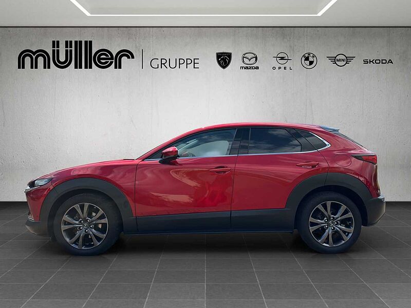 Mazda CX-30 X 186 PS 6AG AL-SELECTION A18-B DES-P