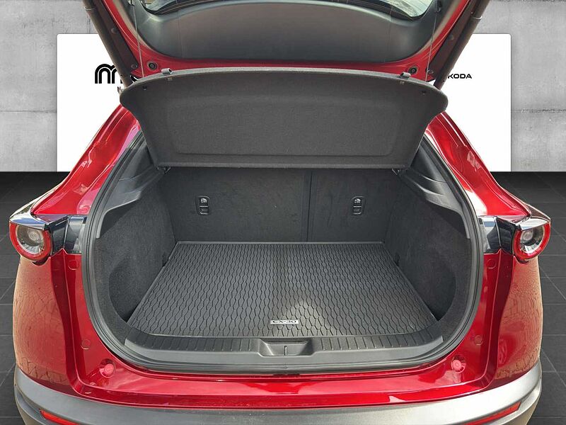 Mazda CX-30 X 186 PS 6AG AL-SELECTION A18-B DES-P